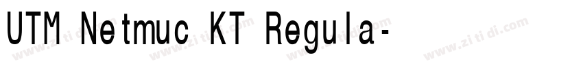 UTM Netmuc KT Regula字体转换